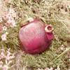 Coach Wild Rose Eau de Parfum 1