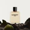 Burberry Hero 19