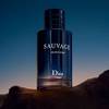 Dior Sauvage Eau de Parfum 1