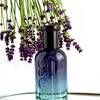 BOSS Bottled Striking Lavender 26