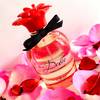 Dolce Rose Dolce&Gabbana 1