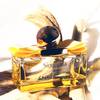 Salvatore Ferragamo Signorina Libera 2
