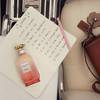Coach Dreams Sunset 7