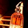 Jean Paul Gaultier So Scandal! 6