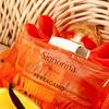 Ferragamo Signorina Unica Eau de Parfum 6