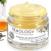 Teaology Kombucha Tea 2