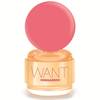 Dsquared2 Want Pink Ginger 2