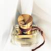 Chloé Nomade Jasmin Naturel Intense 14