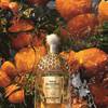 Guerlain Aqua Allegoria Forte 3