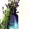BOSS Bottled Striking Lavender 23