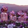 Marc Jacobs Daisy Paradise 1