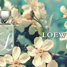 L Loewe Cool 1