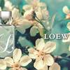 L Loewe Cool 1