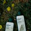 Herbal Care - szampony na różne potrzeby włosów 4