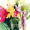 Marc Jacobs Daisy Wild Eau So Extra 13