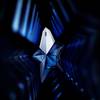 Angel Elixir by Mugler 5