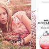 Coach Floral Blush 1