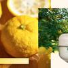 Shiseido WASO Yuzu-C Beauty Sleeping Mask 6