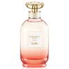 Coach Dreams Sunset 2