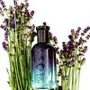 BOSS Bottled Striking Lavender 34