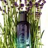BOSS Bottled Striking Lavender 4