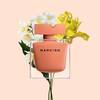 Narciso Eau de Parfum Ambrée 3