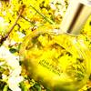 Shiseido Rising Sun 5