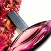 Calvin Klein Euphoria Intense 4