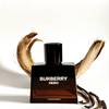 Burberry Hero Elixir de Parfum 11