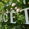 Moët & Chandon Grand Day 2
