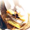 Salvatore Ferragamo Signorina Libera 5