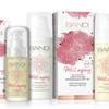 Bandi Well Aging 2