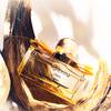 Salvatore Ferragamo Signorina Libera 11