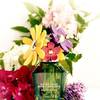 Marc Jacobs Daisy Wild Eau So Extra 6