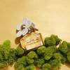 Marc Jacobs Daisy Eau So Intense 15
