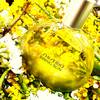 Shiseido Rising Sun 1