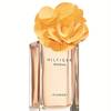 Hilfiger Woman Flower Marigold 2