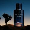 Dior Sauvage Eau de Parfum 5