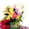 Marc Jacobs Daisy Wild Eau So Extra 11