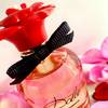 Dolce Rose Dolce&Gabbana 10