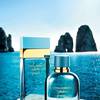Dolce & Gabbana Light Blue Forever 15
