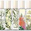 Jo Malone London Wild Flowers & Weeds 1