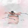 Chloé L'Eau 8
