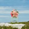 Marc Jacobs Daisy Spring 2021 13