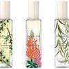 Jo Malone London Wild Flowers & Weeds 5
