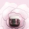 Sisley Black Rose Skin Infusion Cream 4