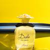 Dolce Shine Dolce & Gabbana 10