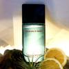 Issey Miyake Fusion d'Issey 1