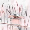 Chloé L'Eau 7
