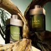 Bvlgari Man Wood Essence Parfum - nowy zapach 21